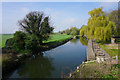 The River Lark by Jude's Ferry in IP28 8PX