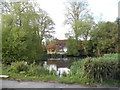 The pond at Kidmore End in RG4 9AZ