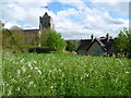 Looking towards All Saints Church, Birling in ME19 5JW