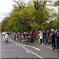 The leader's jersey, Tour de Yorkshire in LS21 1DL