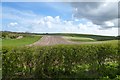 Hedgerow and farmland off Bartindale Road in YO14 0JD