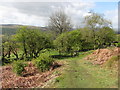 Towards the path junction at Pen-cribarth in SA9 1TJ