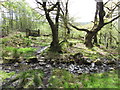 Path and ford in Abercrave Wood in SA9 1YU