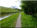 View Along The Towpath Near Hoghton in PR6 8BL