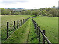 Footpath through a field in Ynyswen in SA9 1UD
