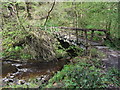 Footbridge across the Nant Llech in SA9 1UD