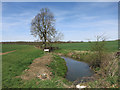 Early tributary of the River Cam in CB11 3ST