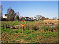 Wildlife pond, Burgh by Sands in CA5 6AP