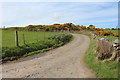 Road to Grennan Farm in DG9 9HA