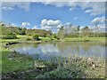 Pond beside car park, Grassmoor Country Park in S42 5DP