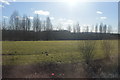Field between railway and River Cole in B46 1DT