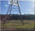 Pylon in the Tame Valley in B46 1TN