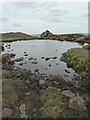 Doxey Pool looking northwards in ST13 8UB