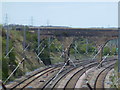 Brick railway bridge, Essendine, Rutland in Essendine