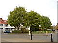 Werrington village green in PE4 6RU
