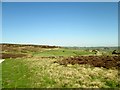 Eastern  edge  of  Heyshaw  Moor in HG3 4HG