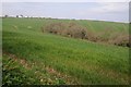 Farmland near Buckland Brewer in EX39 5FH