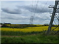Pylons and rape on Clay Hill, Ryhall, Lincolnshire in PE9 4LQ