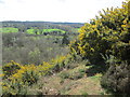 View from Kettlebury Hill in GU8 6QW