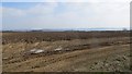 Ploughed field in DT9 4LA