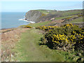 Looking north-northeast along the Wales Coast Path in SA45 9TX