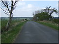 Minor road towards Capheaton in NE19 2EA
