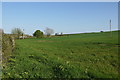 Field at Flichett in TA7 9AH