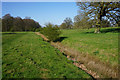 Drainage ditch in Ickworth Park in IP29 5PL