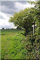 Footpath & Bridleway Junction Near Padham's Green in CM4 9NY