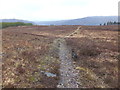 Moorland track, Cnoc na Staing, Lochcarron in IV54 8UE