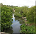 River Avon, Avoncliff in BA15 2LP