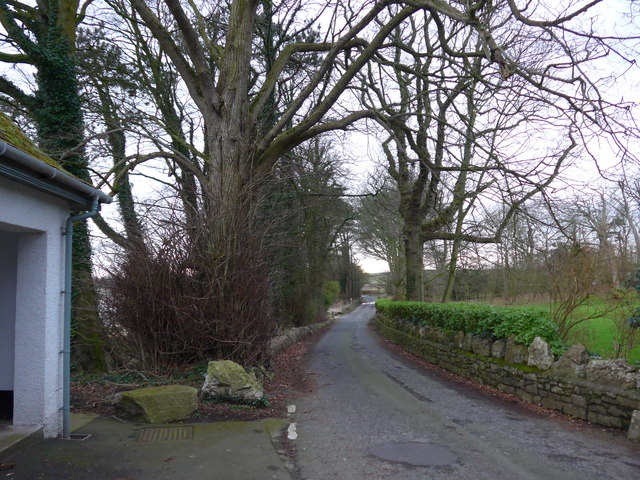 Looking south-west down Church Lane in Low Furness Ward