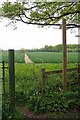 Footpath to Wyatt's Green in CM15 0QD