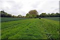 Footpath & Field Drain Near Wyatt's Green in CM15 0QD