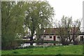 The Pond at Ashling's Farm in CM4 0JU