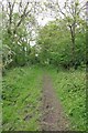 Verdant Bridleway in CM4 0JY
