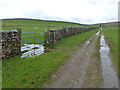 Field gate off Tow Scar Road in LA6 3NW