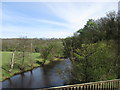 River Esk near Dorsley Bank Wood in YO22 5QJ