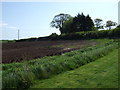 Field and hedgerow, Easter Broomhouse in EH42 1UZ
