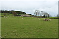 Farmland at Twynholm in DG6 4NX
