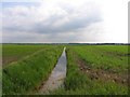 Draining the fens in PE28 2UD