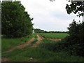 Fields near to Ramsey Forty Foot in PE26 2YR