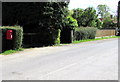 Postbox at the edge of a Rectory Hill hedge, West Dean in SP5 1JD