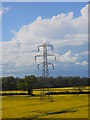 Pylon off Hurn Road near Marholm in PE6 7HJ