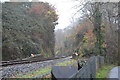 Cutting, Plym Valley Railway in PL6 8LH