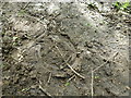 Hoofprint in South Kesteven District