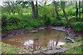 Mill pond for Olchon House Farm Mill, Llanveynoe near Longtown, Herefs in HR2 0NS