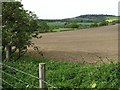 Farmland west of Hermit Hill in S35 7DF