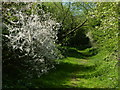 Public bridleway next to Wanlip sewage treatment works in Wanlip