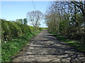 Minor road towards Craster  in Craster